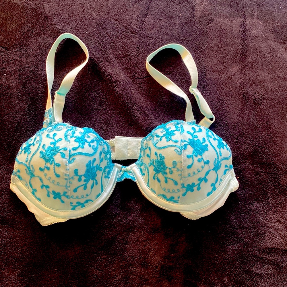 Hanes blue flower design bra 34B